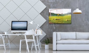 Tablouri sport antrenamente - Img 1