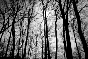 Aurora boreala - Tablou Canvas natura - Img 2