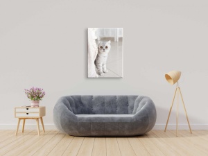 Tablou Canvas animale pisica care se ascunde - Img 3