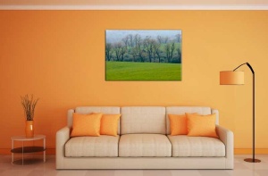 Tablou Canvas Camp