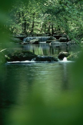 Tablou Canvas Cascada - Img 2