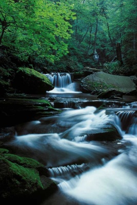 Tablou Canvas Cascada - Img 2