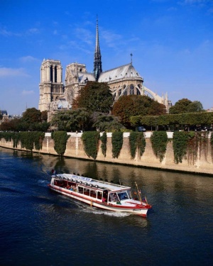 Tablou Canvas Catedrala Notre-Dame Paris - Img 2