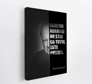 Talou Citate Motivationale Winston Churchill - Totul Este Posibil