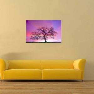 Tablou Canvas Copac fara frunze - Img 1