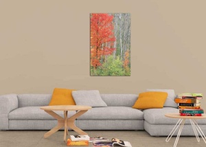 Tablou Canvas Copaci Colorati - Img 1