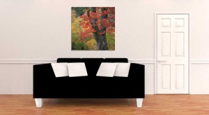 Tablou Canvas Copaci toamna - Img 1