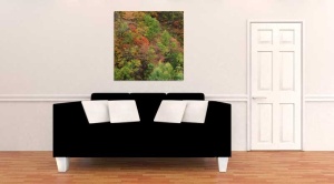 Tablou Canvas Copaci toamna - Img 1