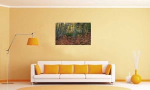 Tablou Canvas Copaci - Img 1