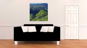 Tablou Canvas Copac - Img 1