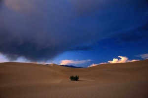 Tablou Canvas Desert - Img 2