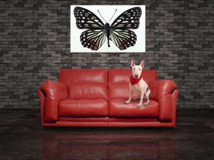 Tablou Canvas Fluturas - Img 1