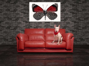 Tablou Canvas Fluturas - Img 1