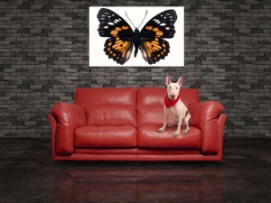 Tablou Canvas Fluturas - Img 1