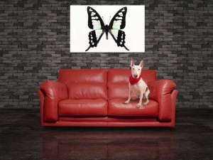 Tablou Canvas Fluturas - Img 1