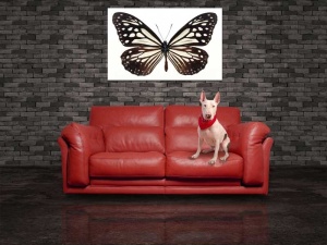 Tablou Canvas Fluturas - Img 1