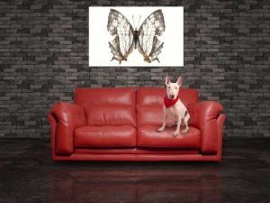 Tablou Canvas Fluturas - Img 1