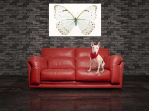 Tablou Canvas Fluturas - Img 1