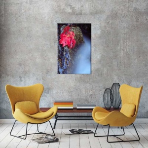 Tablou Canvas Frunze rosii pe pietre - Img 1