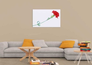 Tablou Canvas Garoafa - Img 1