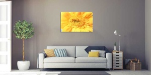 Tablou Canvas gerbera - Img 1