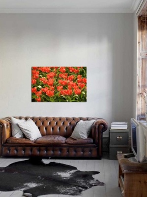 Tablou Canvas Lalele Rosii - Img 1