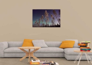 Tablou Canvas Natura Inghetata - Img 1