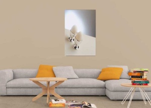 Tablou Canvas Oua - Img 1