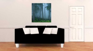 Tablou Canvas Padure