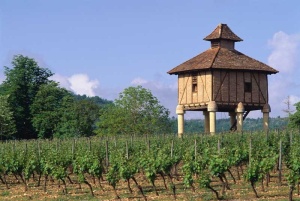Tablou Canvas Panorama - Img 2