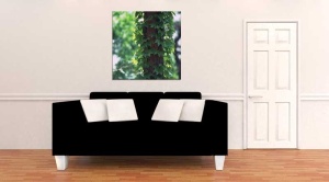 Tablou Canvas Trunchi de Copac - Img 1