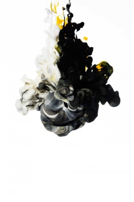 Tablou Canvas abstract lupta - Img 3