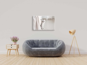 Tablou Canvas animale pisica care se ascunde - Img 1