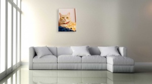 Tablou Canvas animale pisica maro, linistita - Img 2