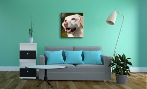 Tablou Canvas animale portret inedit - Img 2