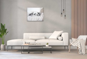 Tablou Canvas animale povestea celor cinci motanei - Img 1