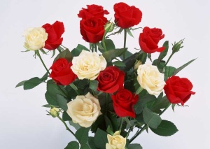 Tablou Canvas Buchet de Trandafiri - Img 2