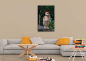 Tablou Canvas Caine - Img 1