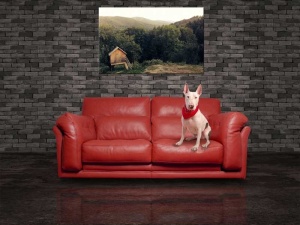 Tablou Canvas Casuta din copac - Img 1