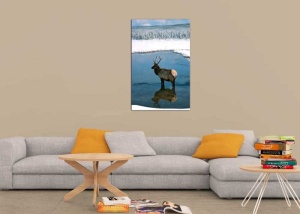 Tablou Canvas Cerb - Img 1
