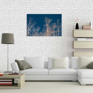 Tablou Canvas Copaci Fara Frunze - Img 1