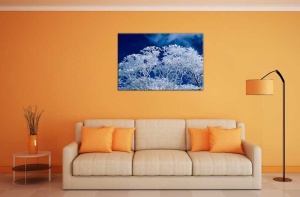 Tablou Canvas Copaci inghetati - Img 1