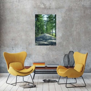 Tablou Canvas Copaci - Img 1