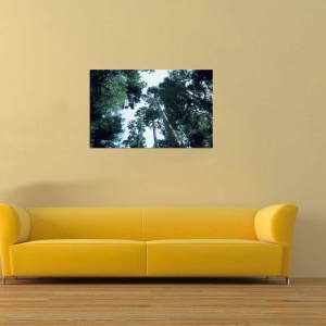 Tablou Canvas Copaci - Img 1