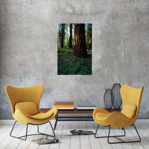 Tablou Canvas Copaci - Img 1