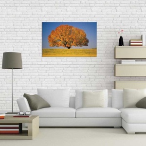 Tablou Canvas Copac - Img 1