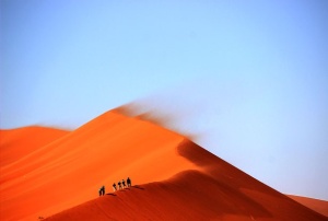 Tablou Canvas Desert - Img 2