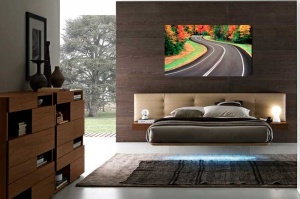 Tablou Canvas Drum prin padure - Img 1