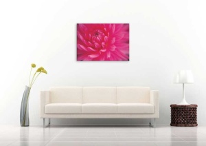Tablou Canvas Floare Detaliu - Img 1