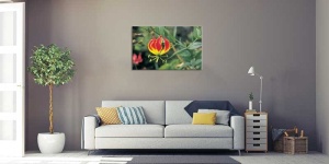 Tablou Canvas Floare Detaliu - Img 1